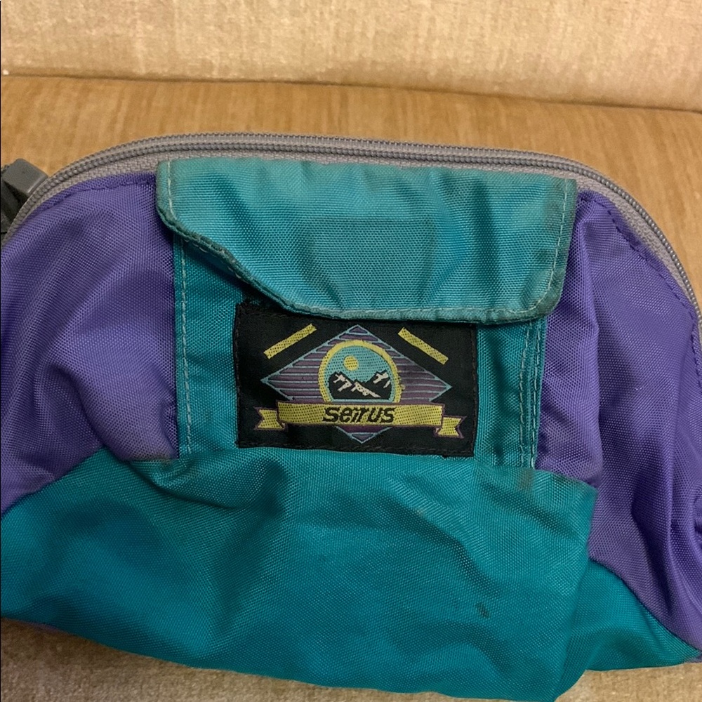 Teal and Purple Waist Bag Fanny Back MounTain Climber Bag